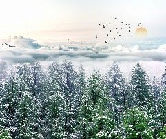 Carta da parati panoramica in tessuto non tessuto foresta di neve