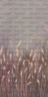 Papier peint panoramique herbes sauvages rose