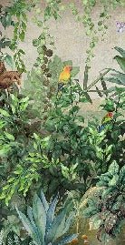 Papier peint Jungle Parrot, XXL, tendance