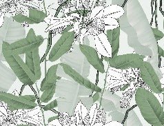 Papel pintado Follaje natural verde NB flor