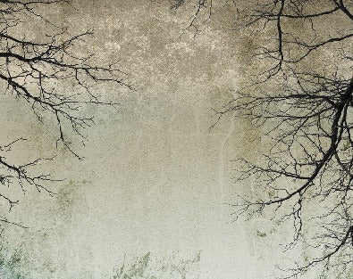 Papier peint Forêt Enchantée, XXL, tendance