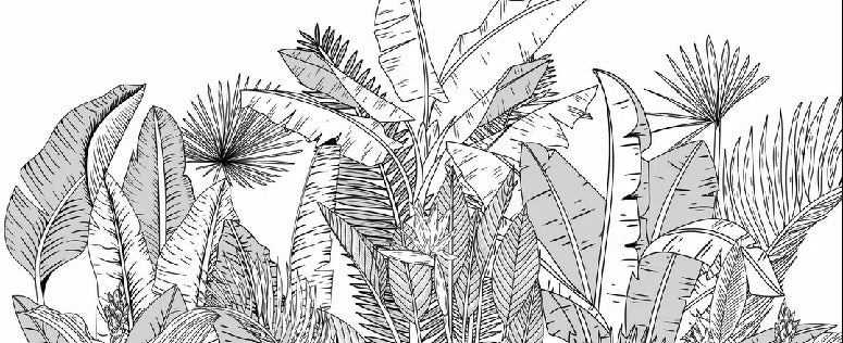 Papier peint panoramique noir et blanc botanic leaf