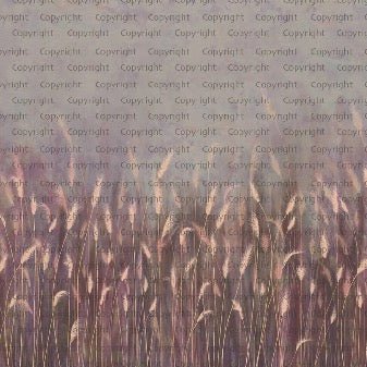 Papier peint panoramique herbes sauvages rose