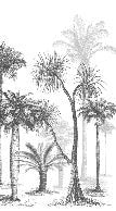 Papier peint Jungle Black & White