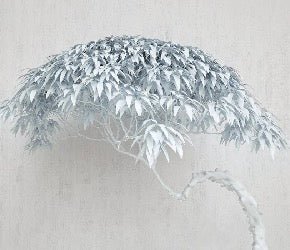 Papel pintado Árbol panorámico de estilo nórdico