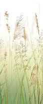 Papel pintado Gradient wheat field flower