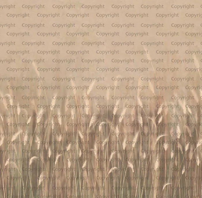 Carta da parati panoramica beige con erba selvatica