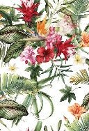 Papier peint tropical & Fleurs colorées, XXL, tendance