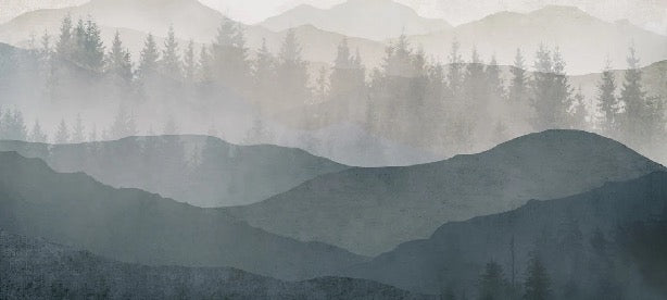 Papier peint panorama nature noir et blanc, XXL, tendance