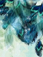 Peacock Ethnic Feather Wallpaper