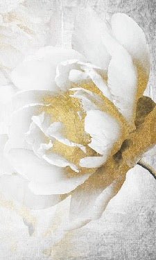 Papier peint toilette Fleur Or