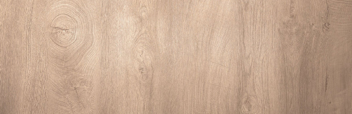 Papel pintado VP SEPIA CYPRES PINS L240cm x H270cm
