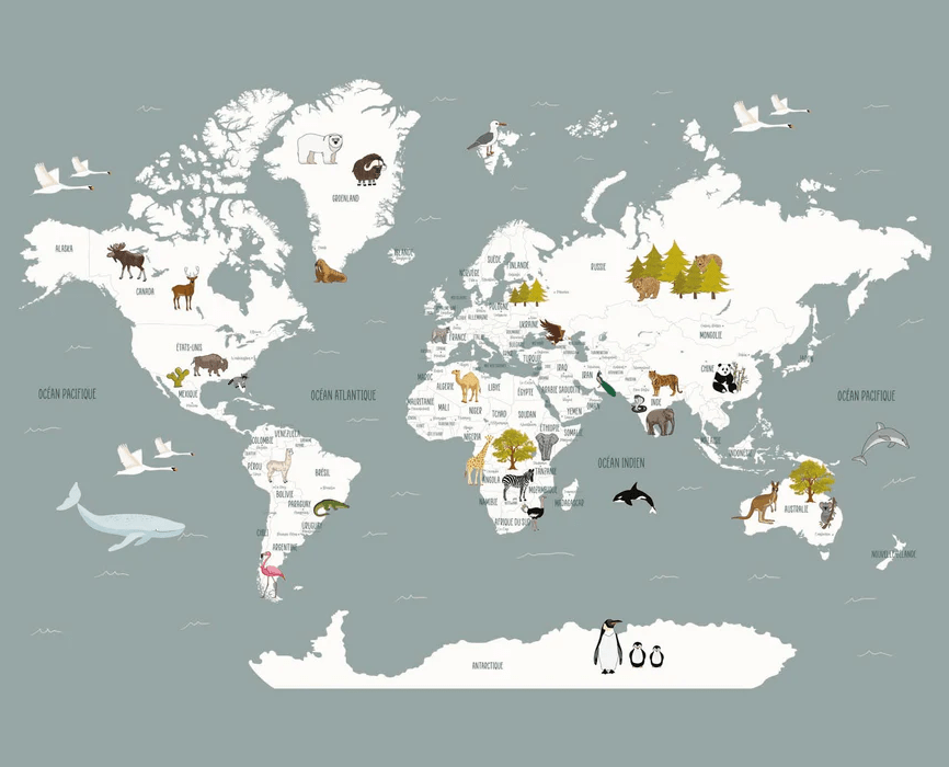 Papier Peint Carte du Monde en Français Enfant Gris - H260cm x L322cm - Matière Pré- Encollé
