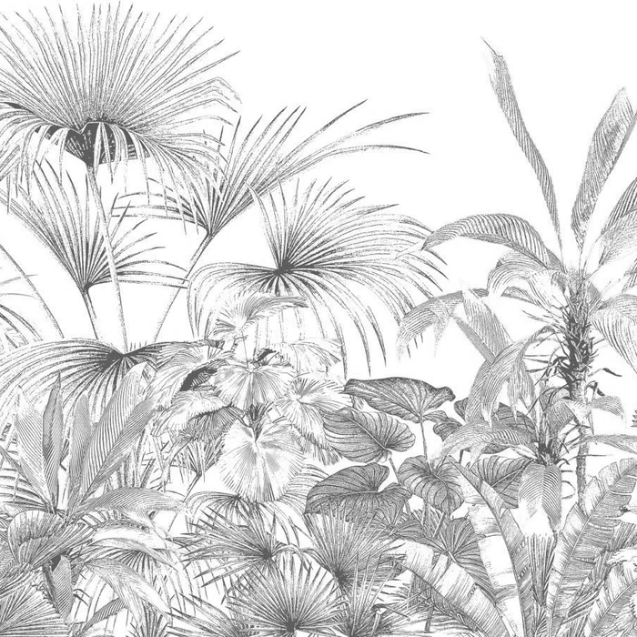 Papier Peint Tropical Gravure Monochrome Noir et Blanc - H100cm x L100cm - Matière Softouch