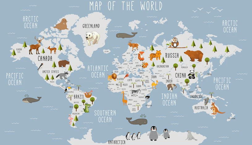 Papier Peint Carte du Monde Illustrée Animaux - H183cm x L319cm - Matière Softouch