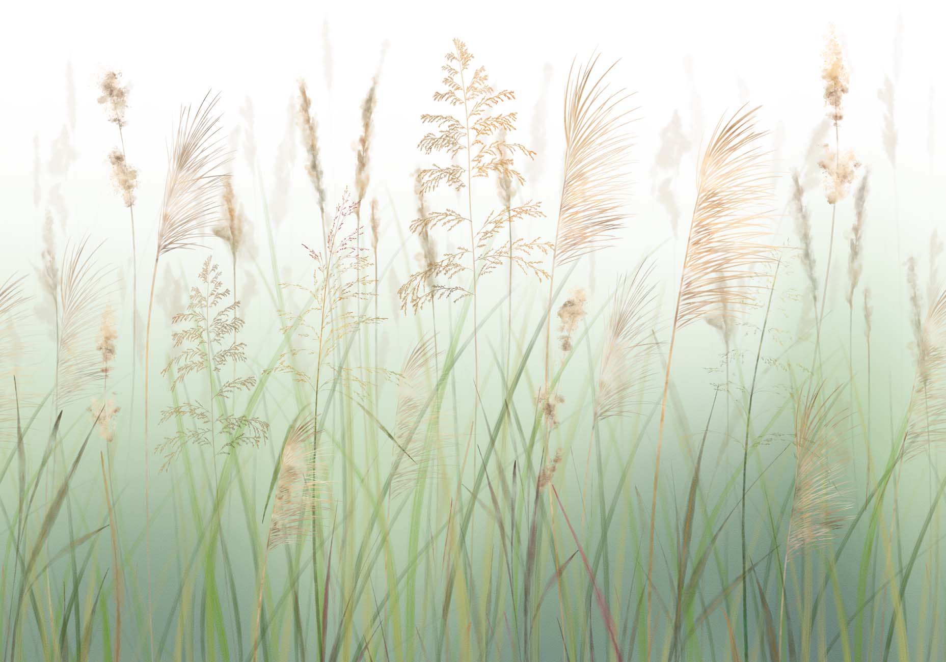Fondo de flores de campo de trigo verde
