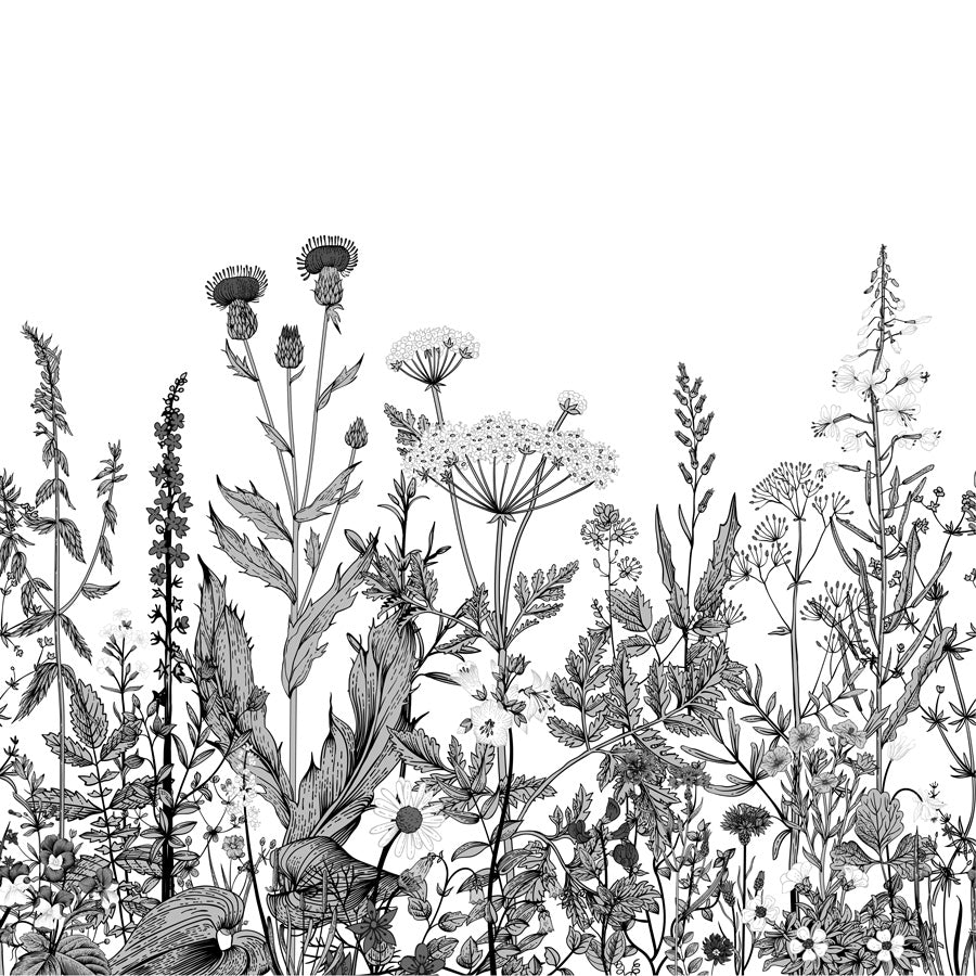 Papier peint botanique folk noir et blanc, mural concept, tendance