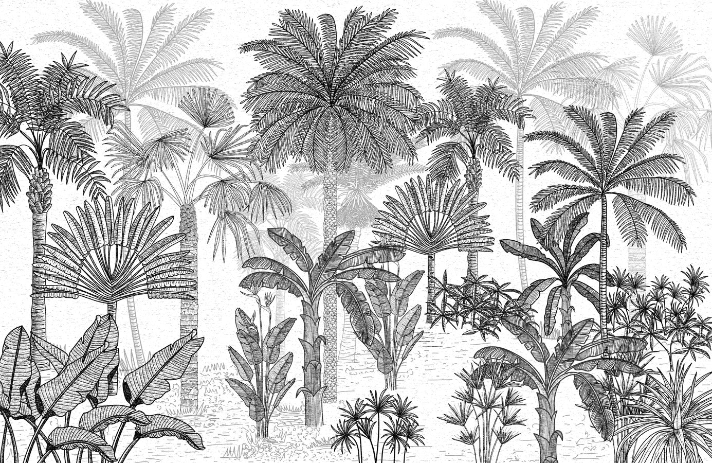 Papier peint jungle cocotier tendance gravure, mural concept, tendance