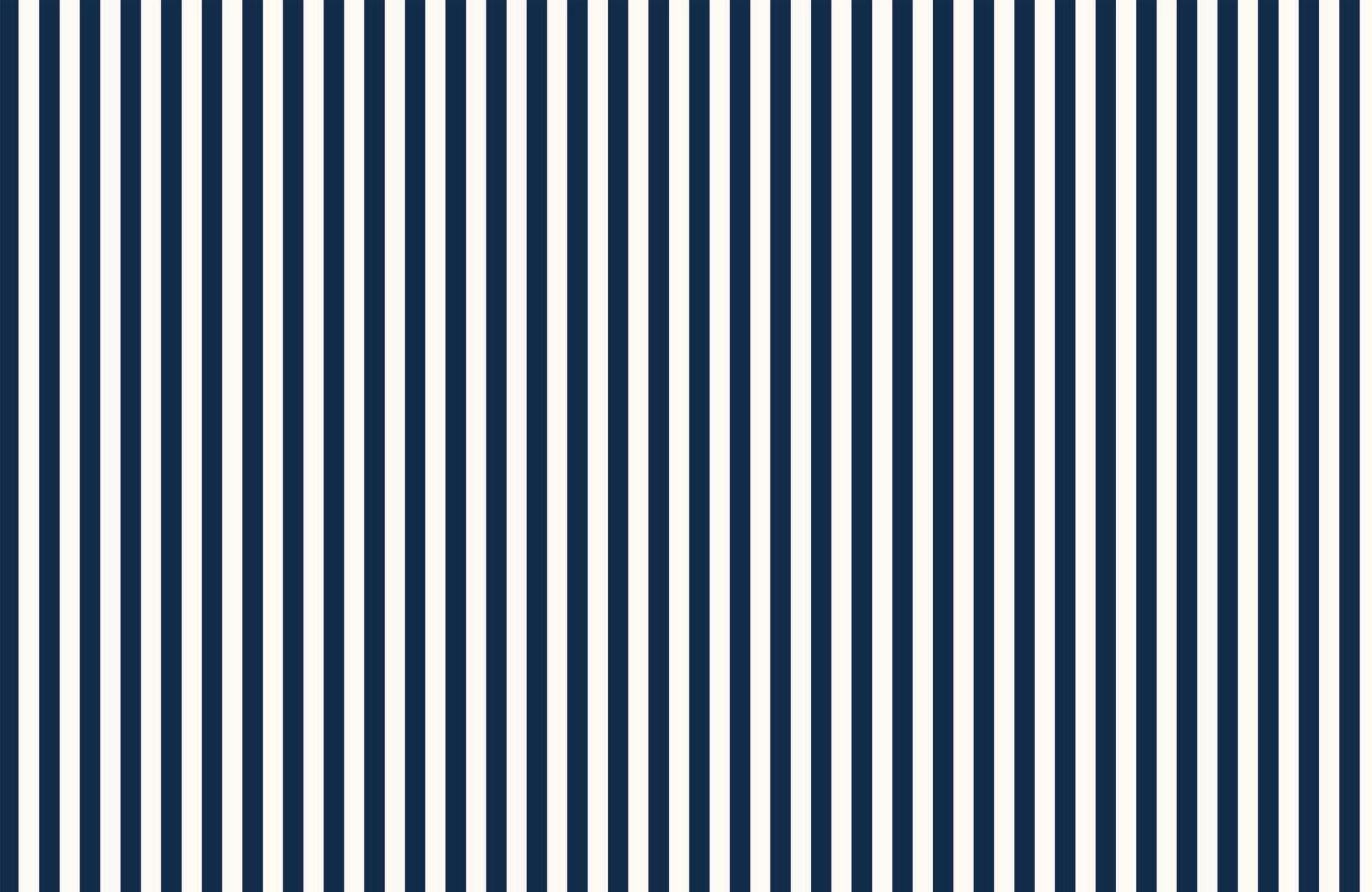 Papier peint rayure rétro bleu marine, XXL, tendance