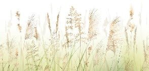 Papel pintado Gradient wheat field flower