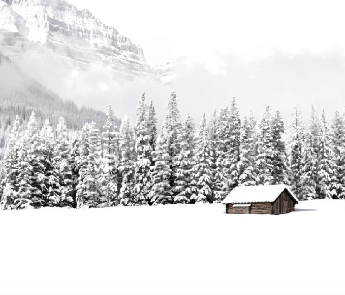 Papier peint panoramique chalet en montagne