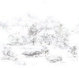 Papel pintado Bosque de pinos en acuarela