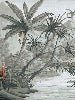 Jungle Contrast wallpaper