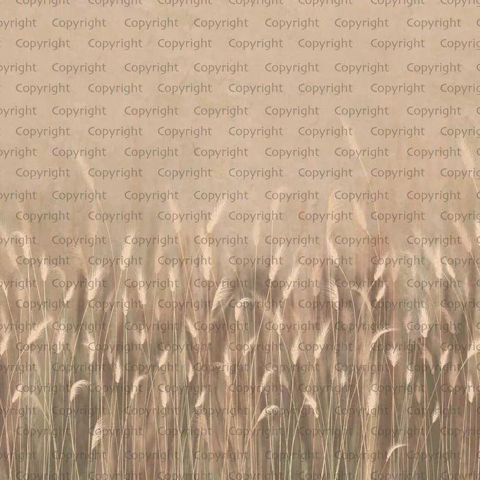 Panorama-Tapete Wildkräuter Beige