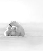 Papier peint panoramique - Horizon arctique, XXL, tendance