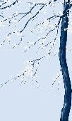Sakura flower panoramic wallpaper