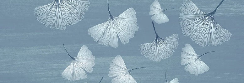 Carta da parati per bagno japandi blu gingko