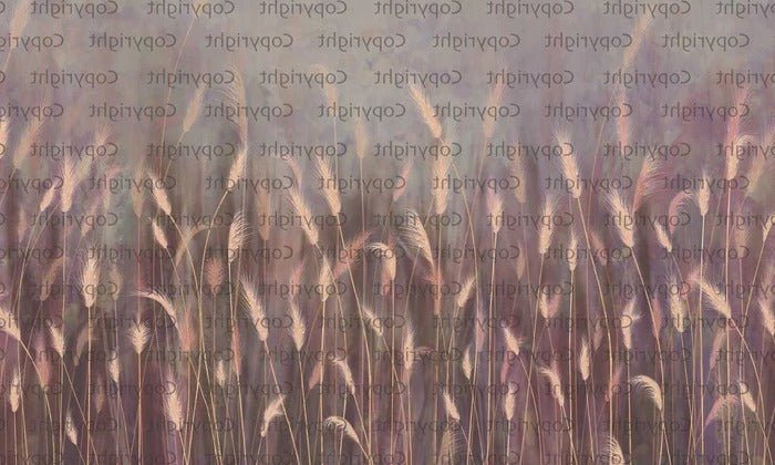 Papier peint panoramique herbes sauvages rose