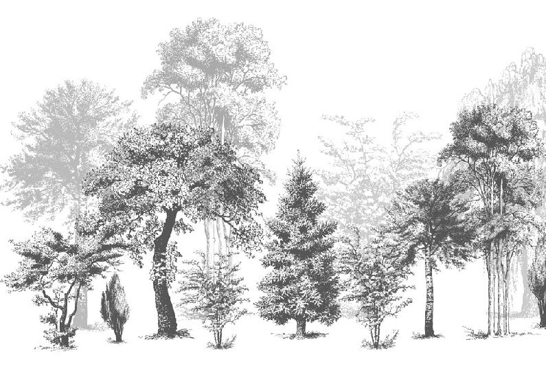 Papier peint salle de bain nature en noir et blanc, XXL, tendance