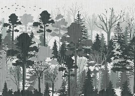 Papier peint panoramique nature forêt vert