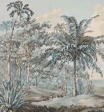 Papel pintado Paisaje azul de Célebes