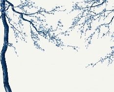 Panorama-Tapete Sakura-Blume weiß