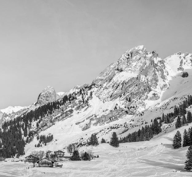 Papier peint panoramique chalet alpage, XXL, tendance