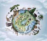 Papier peint enfant planète animaux, XXL, tendance