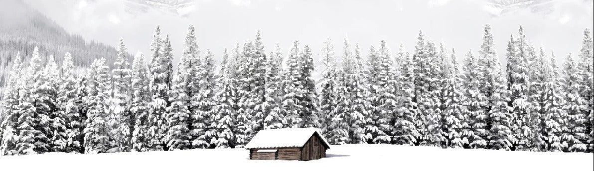 Papier peint panoramique chalet en montagne