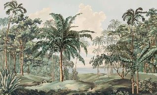 Papier peint paysage Célèbes, XXL, tendance