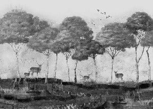 Papier peint panoramique Pins & Cerfs Mystiques, XXL, tendance