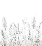 Carta da parati poetica della pampa