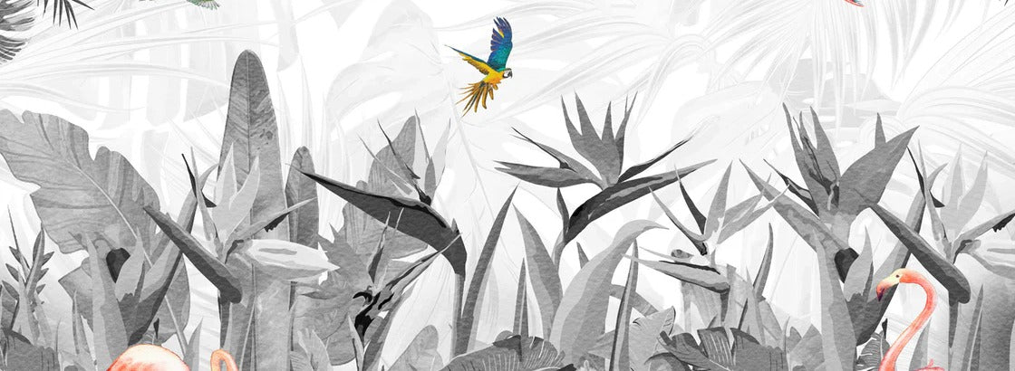 Tapete schwarz und weiß Paradiesvogel