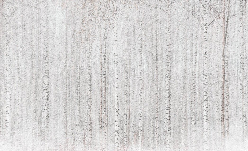 Papel pintado Envolvente bosque de abedules