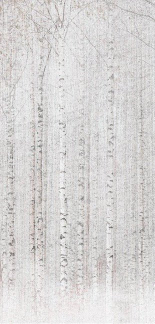 Papel pintado Envolvente bosque de abedules