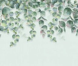 Naturtapete Pflanze Eukalyptus
