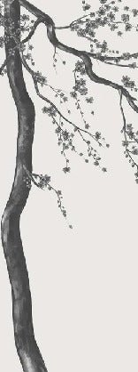 Papier peint panoramique fleur Sakura noir et blanc, XXL, tendance