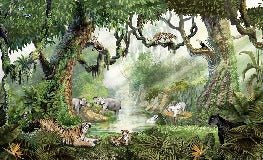 Papier peint enfant jungle secrète, XXL, tendance