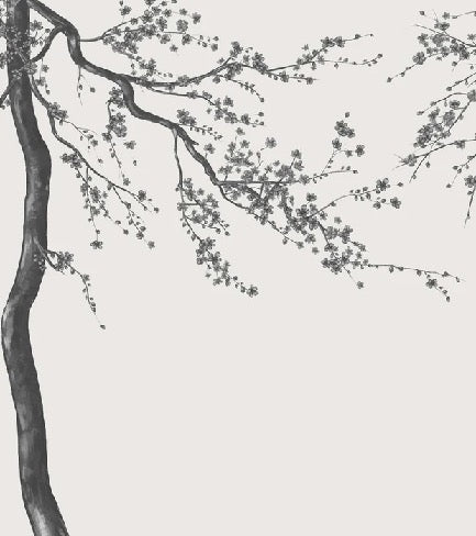 Papier peint panoramique fleur Sakura noir et blanc, XXL, tendance