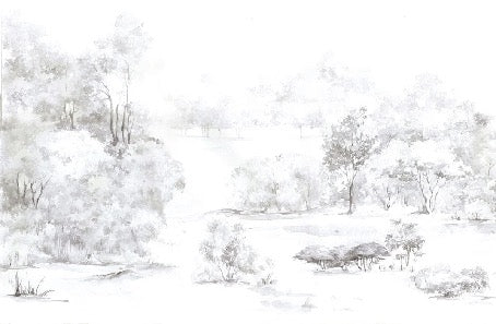 Papel pintado Bosque de pinos en acuarela